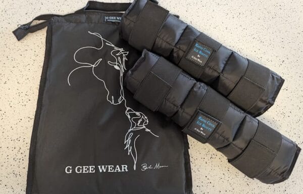 Horse Ice Boots and Bag Combo