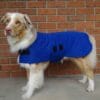 Rapid Cool Dog Coat for Fast Post‑Exercise Cooling