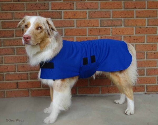 Rapid Cool Dog Coat for Fast Post‑Exercise Cooling