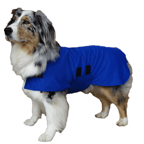 Rapid Cool Dog Coat for Fast Post‑Exercise Cooling