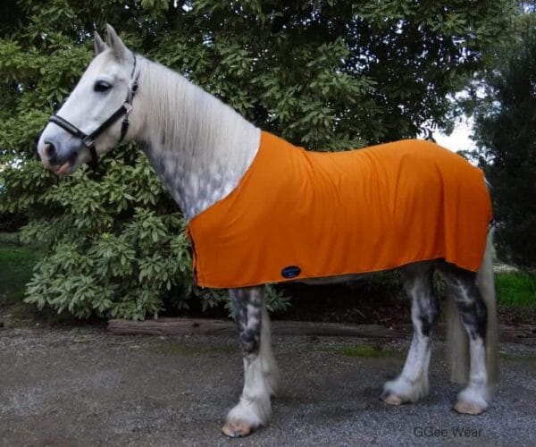 Rapid Cool Horse Rugs