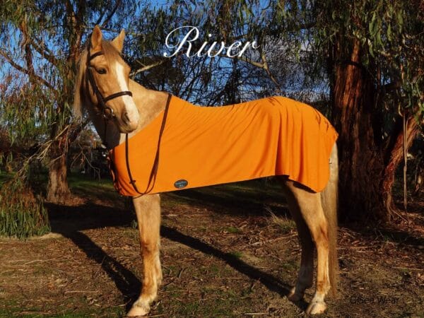 Rapid Cool Horse Rugs