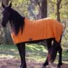 Rapid Cool Horse Rugs