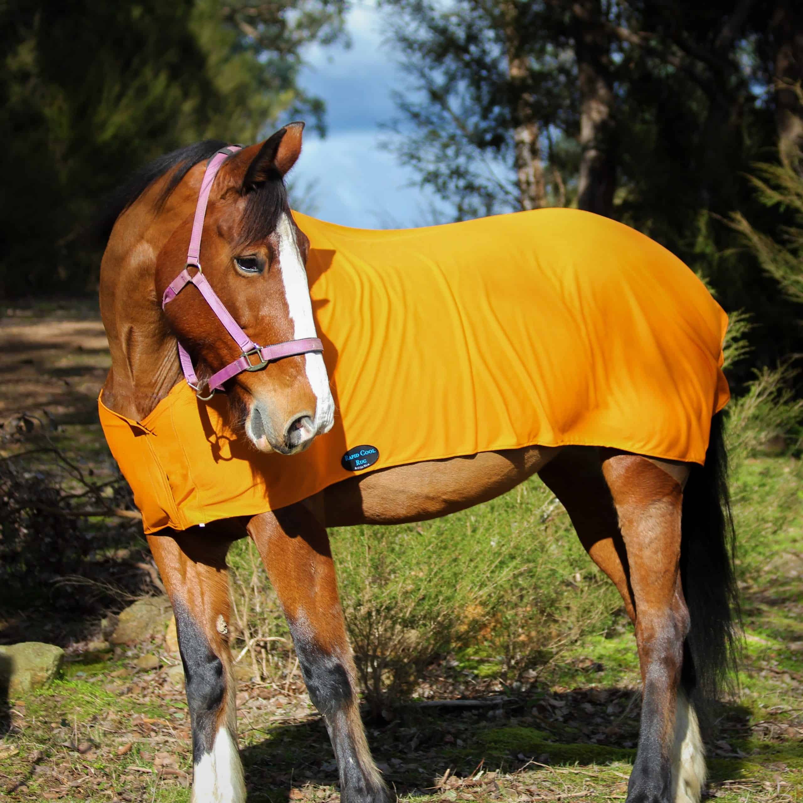 Rapid Cool Horse Rugs