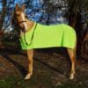 Rapid Cool Horse Rugs