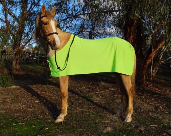 Rapid Cool Horse Rugs