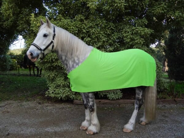 Rapid Cool Horse Rugs