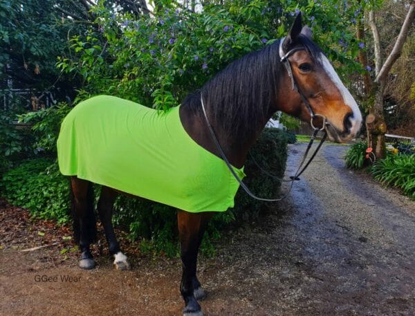 Rapid Cool Horse Rugs