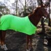 Rapid Cool Horse Rugs