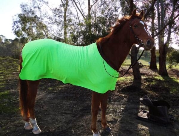 Rapid Cool Horse Rugs
