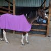 Rapid Cool Horse Rugs
