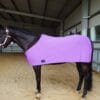 Rapid Cool Horse Rugs