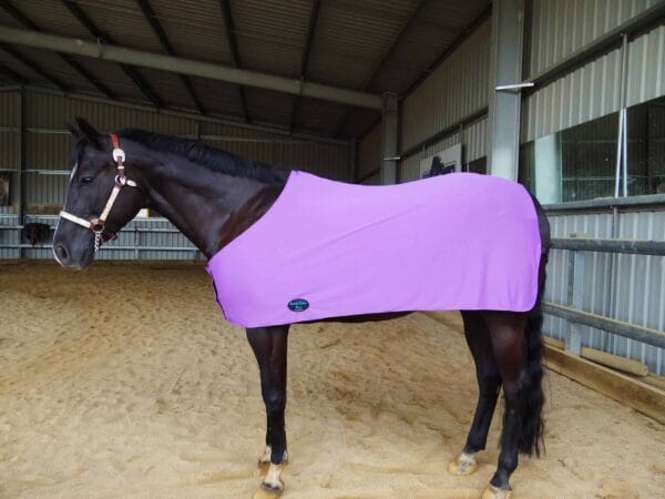 Rapid Cool Horse Rugs