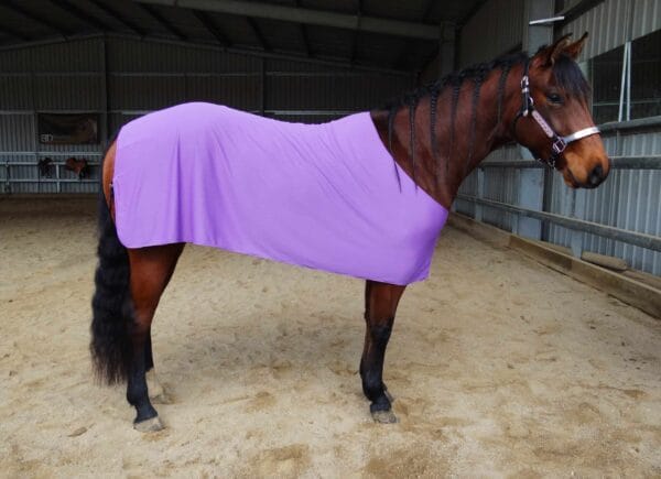 Rapid Cool Horse Rugs
