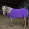 Rapid Cool Horse Rugs