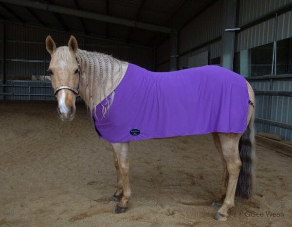 Rapid Cool Horse Rugs