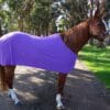 Rapid Cool Horse Rugs