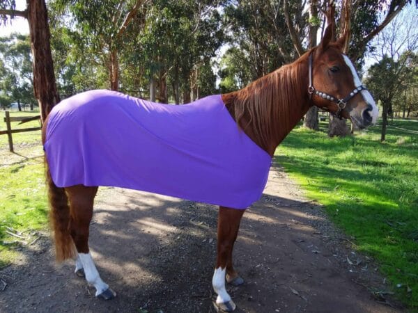 Rapid Cool Horse Rugs