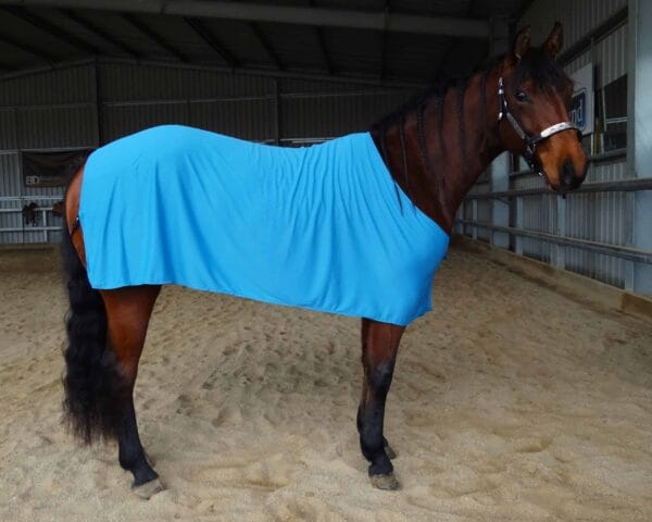 Rapid Cool Horse Rugs