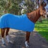 Rapid Cool Horse Rugs
