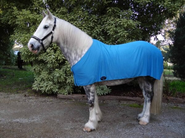 Rapid Cool Horse Rugs