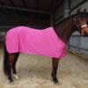 Rapid Cool Horse Rugs