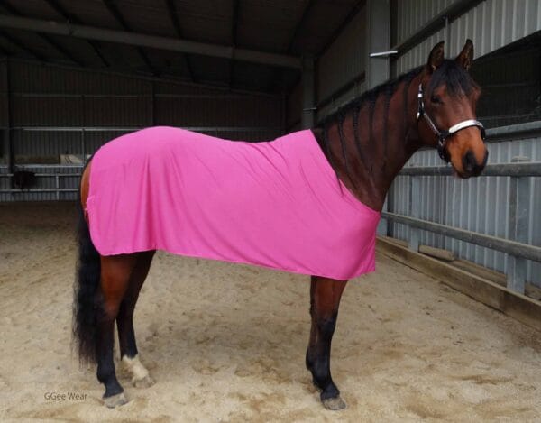 Rapid Cool Horse Rugs