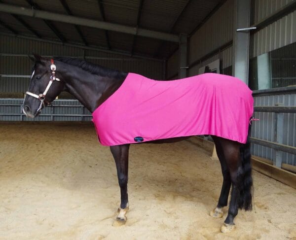 Rapid Cool Horse Rugs