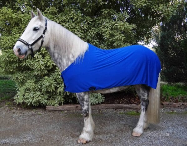 Rapid Cool Horse Rugs