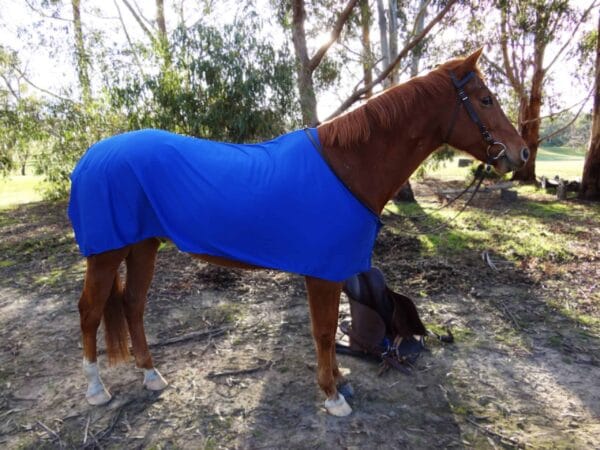 Rapid Cool Horse Rugs