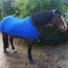 Rapid Cool Horse Rugs