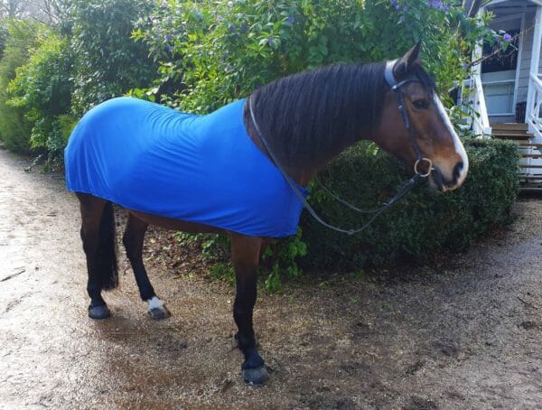 Rapid Cool Horse Rugs