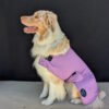 DC_lav Rapid Cool Dog Coat for Fast Post‑Exercise Cooling